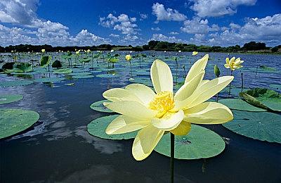 文字冒险游戏《传述之魔女》上线Steam  正式版9月发售